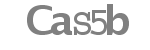 Captcha code to type