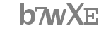 Captcha code to type