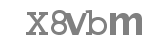 Código captcha a introducir