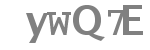 Código captcha a introducir
