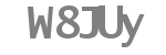 Captcha code to type